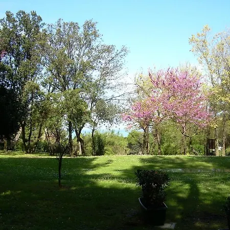 Strada Della Marina Scapezzano